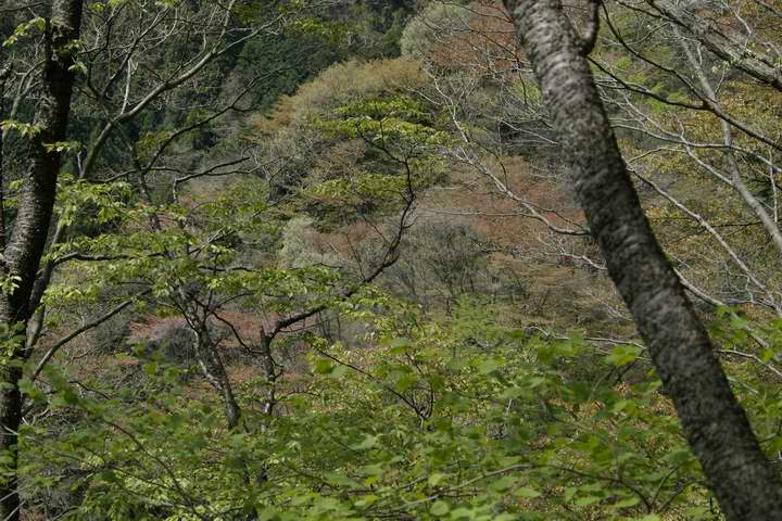 萁iiMRjGPentax DA55-200mm ED F4-5.6    63mm 1/250 f8