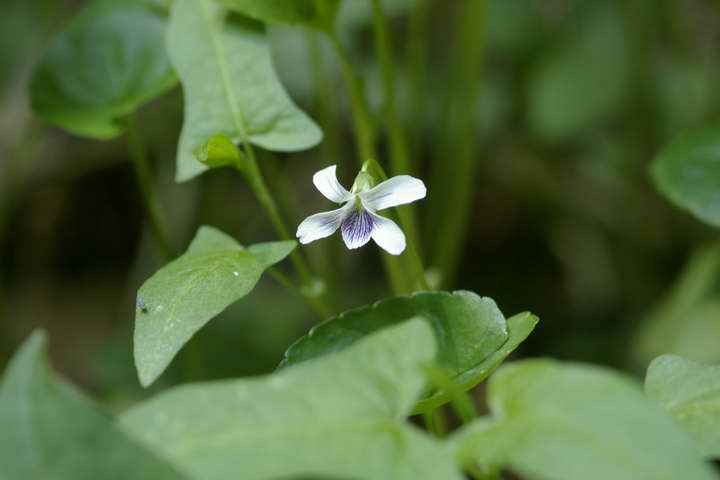 qJQX~GPentax A100f^}N@F4  1/60 f4