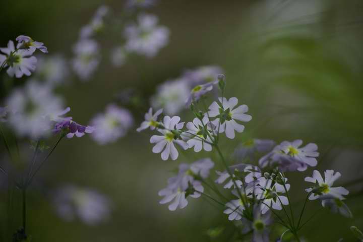 瑐GPentax DA50-200mm ED F4-5.6   @150mm  1/125 f5.6