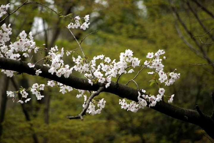 Tamron SP90AF}N 90mm F2.8  1/180 f2.8