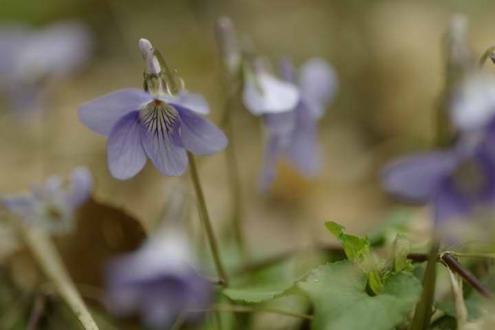 ^`c{X~GTamron SP90AF}N F2.8 90mm    1/180 f2.8